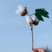 一緒に種まきをしませんか？2025/5/16~17 | ~seed to the future 種１粒から未来へ~